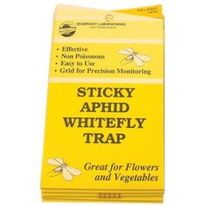 Yellow Sticky Traps for Aphids and Whitefly ?C 5 Pack