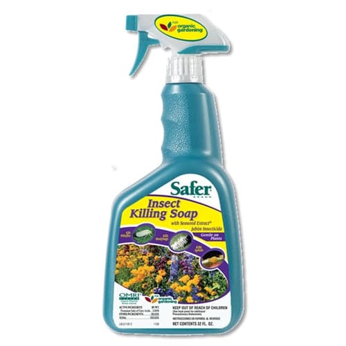 Pest & Fungal Control