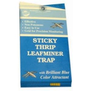 Blue Sticky Traps for Thrip and Leafminer ?C 5 Pack